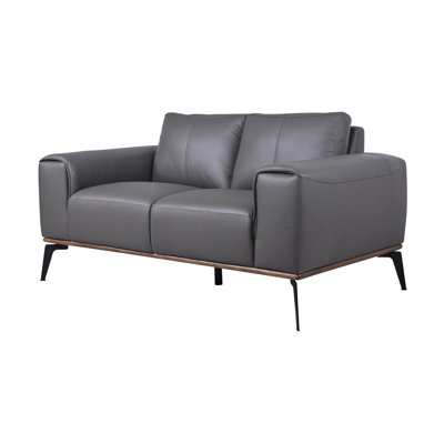 Salpeter Genuine Leather Square Arm Sofa