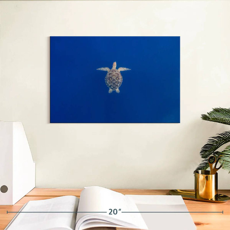 Brampt Blue Sea Turtle, 8" H x 12" W