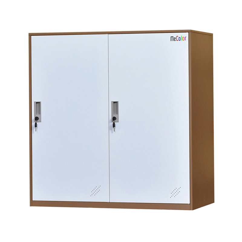 2 Door Locker Cabinet With Shelves And Key Lock 