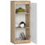 Alexnader 3 Piece Accent Shelf-1284328861-1284328860