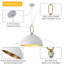 Meghrig 1 - Light Single Dome Pendant with Wrought Iron-1337720915-1279200318