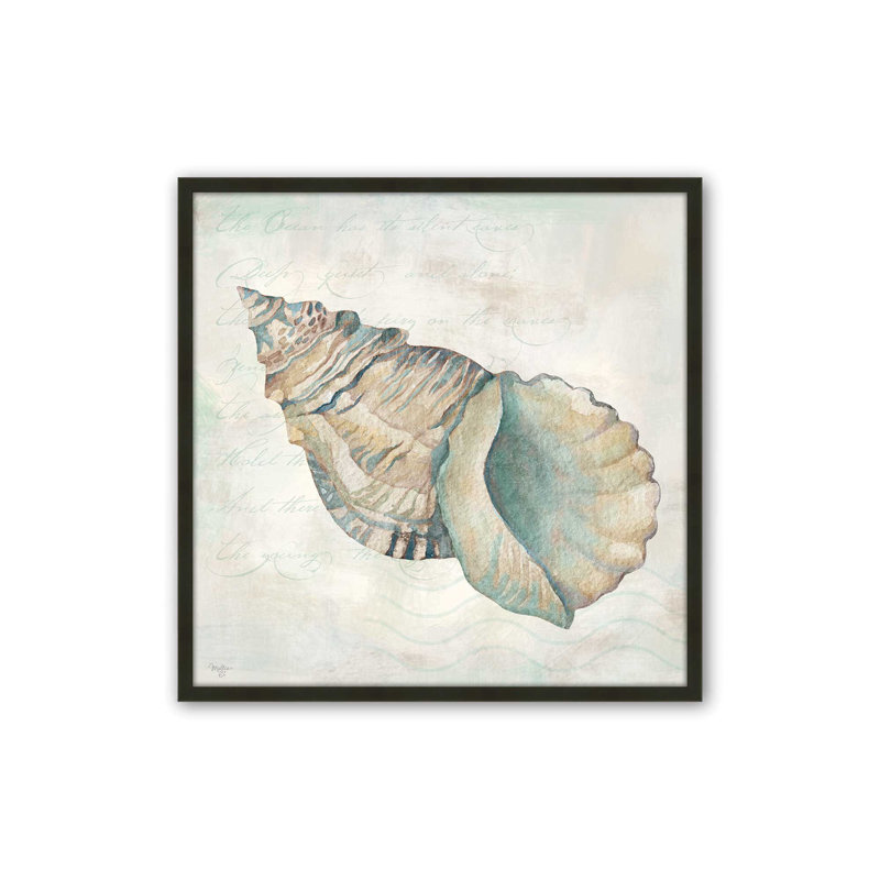 «Seashells II» par Mollie B., reproduction d'art, 12 W x 12 H, Black, Impression encadrée