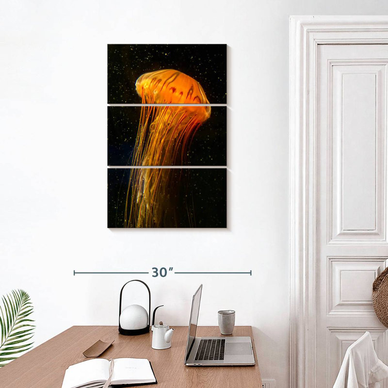 Pacific Sea Nettle, 32" H x 20" W
