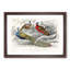 Peacock & Pheasants by Oliver Goldsmith - Picture Frame Painting Print-55582863-55582864