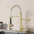 Kitchen Faucet