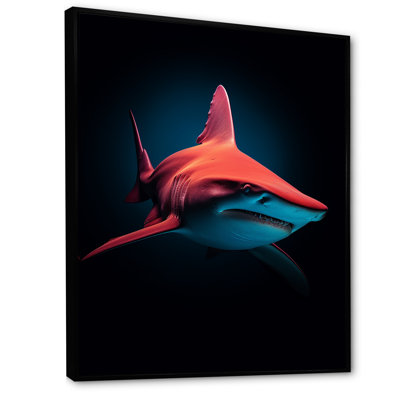 " Red Shark Photo Haven "