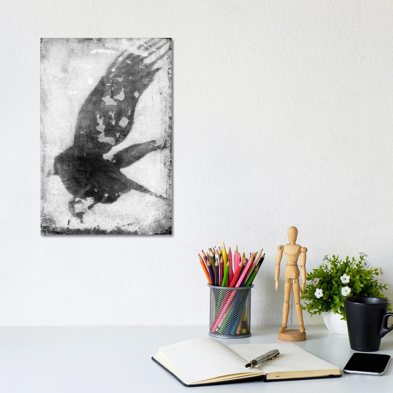 B&W Flight IV by Ingrid Blixt - Wrapped Canvas Print, 20.32 cm H x 30.48 cm W
