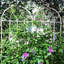 Ensemble de 2 treillis de jardin en métal 71 po x 19,7 po antirouille pour plantes grimpantes, crème de soutien pour fleurs d'extérieur