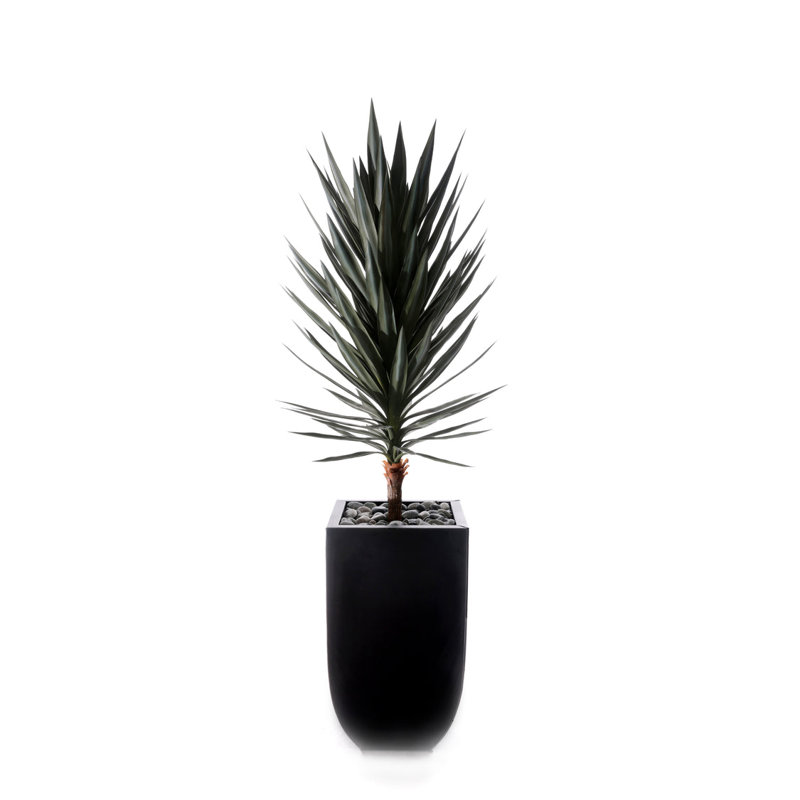 Faux Yucca Plant in Planter