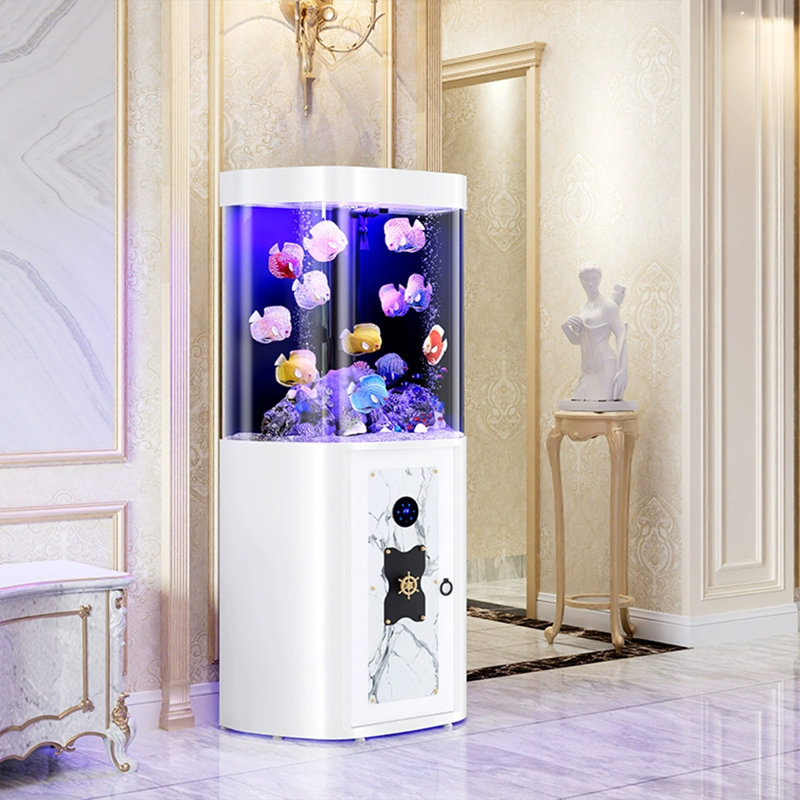 Réservoir d'aquarium 30-38 gallons, Blanc