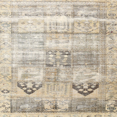Oriental Indoor Rug