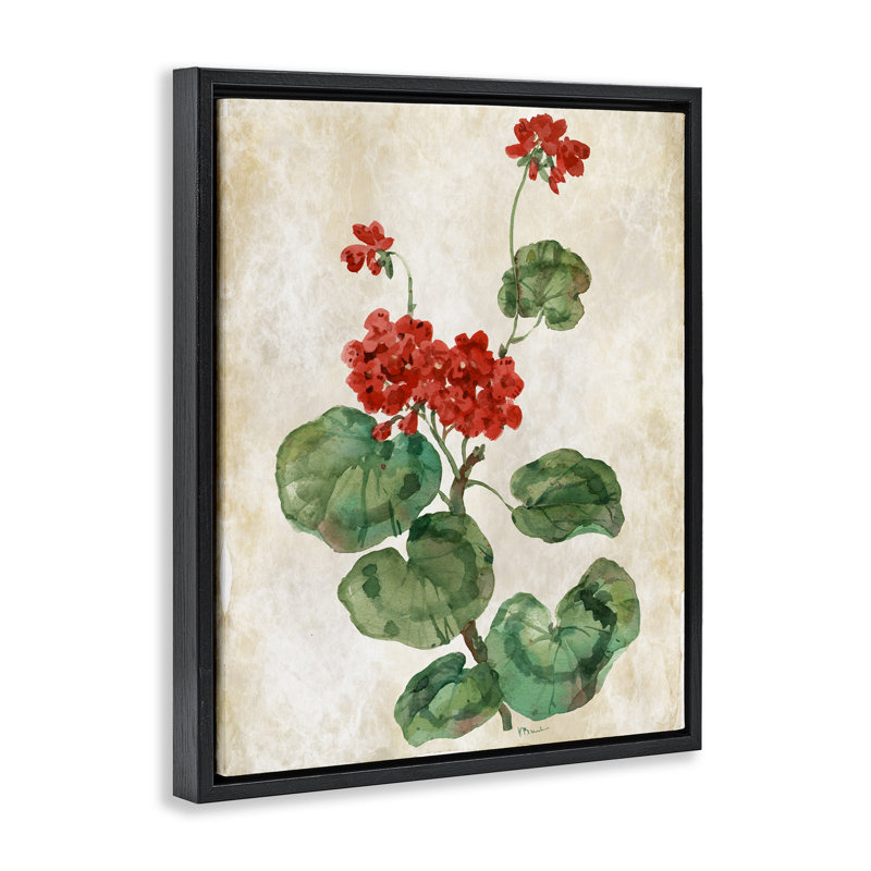 Cadre flottant Floral Journal, Cadre flottant noir de jais, H 21 po x l 17 po