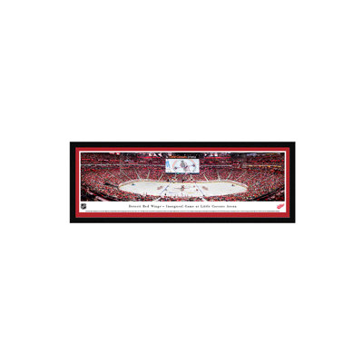 NHL Hockey Framed Panoramic Pictures