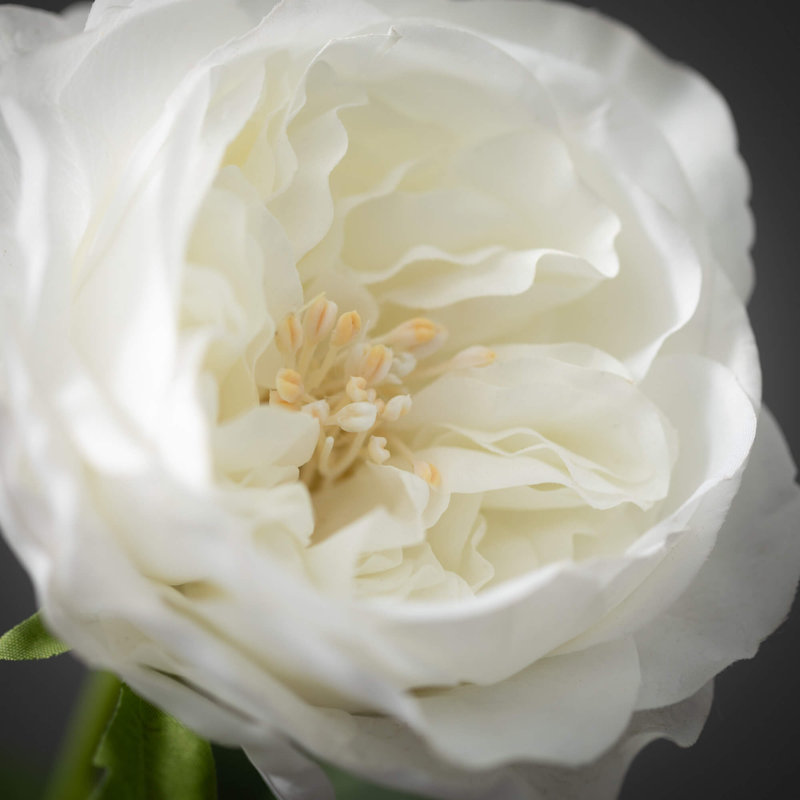 Rosier artificiel de jardin H 24 po, Crème, crème