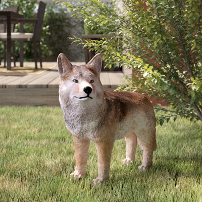 Coyote Standing Statue