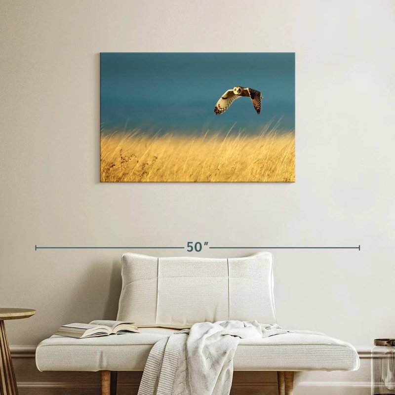 Owl In Flight, 24" H x 36" W