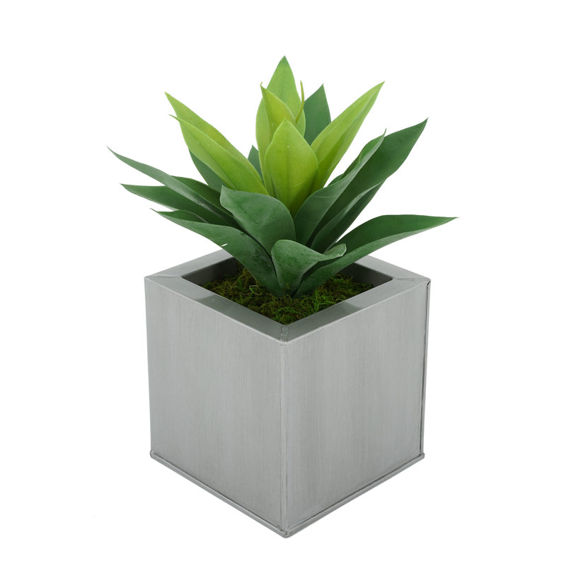 Plante grasse artificielle 7 po en pot, Argent
