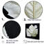 Feuilles noires et blanches sur verre-1635046656-1635046657