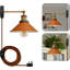 Plug-in Armed Sconce-1738290753