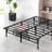 Higbee 14" Steel Bed Frame-709101595