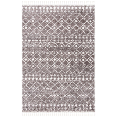 Conklin Fringe Shag Performance Southwestern Rug