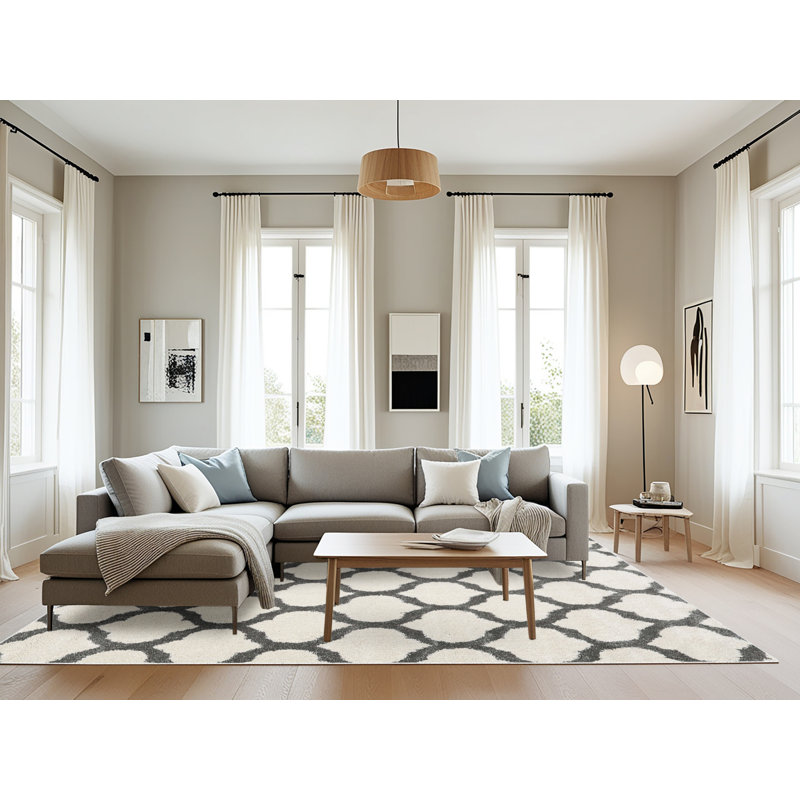 Tapis gris/zone blanche contemporaine, Rectangle 8 pi x 12 pi