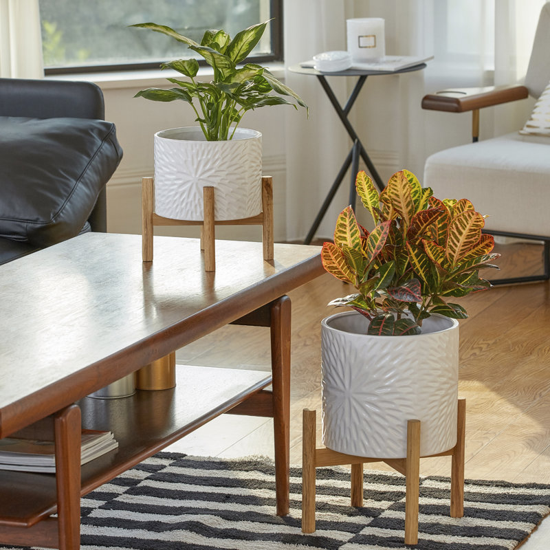 Jardinière en céramique avec support en bois Elayna, H 15,6 po x l 10 po x P 10 po, Blanc