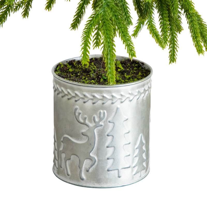 Arbre de Noël 1,7 pi