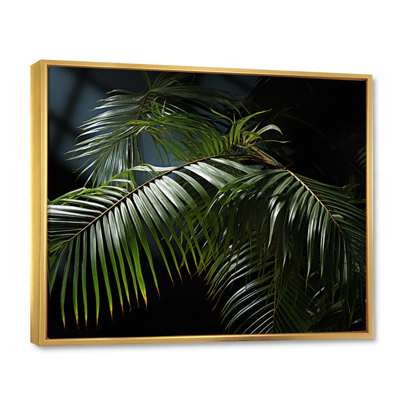 Palmiers symphonie I - impressions murales florales, H 30 po x l 40 po x P 1,5 po, Cadre flottant doré
