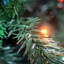Artificial Christmas Tree-1866611587-1866611598