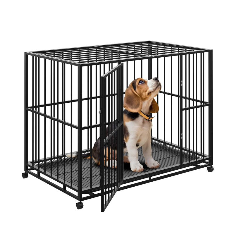 cage pour chien robuste, H 33,5 po x l 42,1 po x P 27,6 po