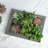 15.8'' Faux Succulent