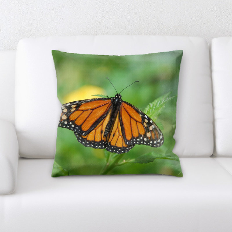 Coussin gran canaria