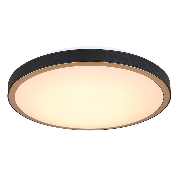 Ceiling light