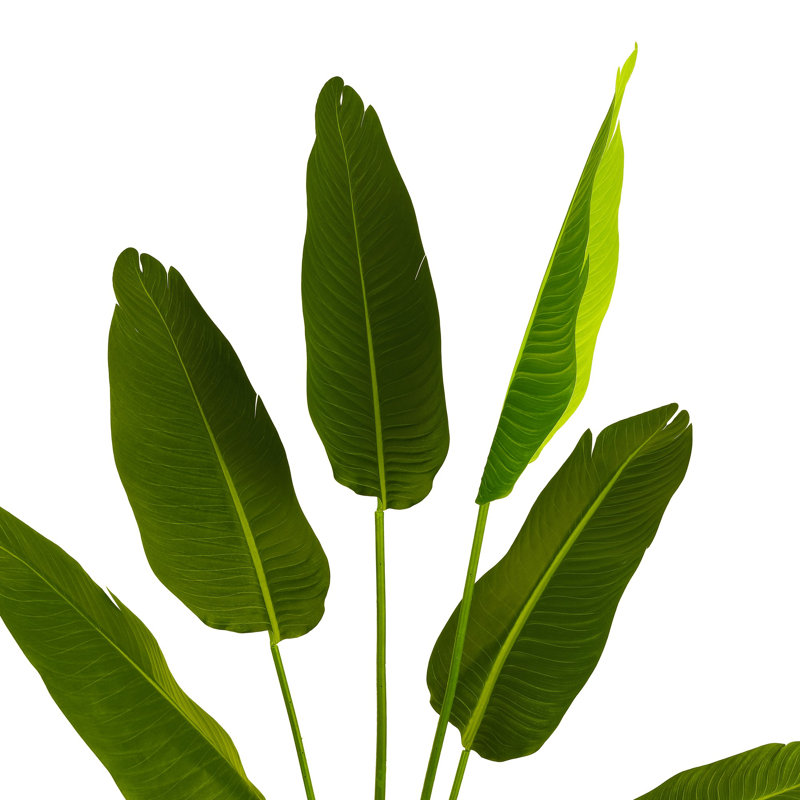 Faux Banana 63" Potted Leaves