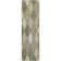 Premium Machine Washable Prisco Aloe Rug