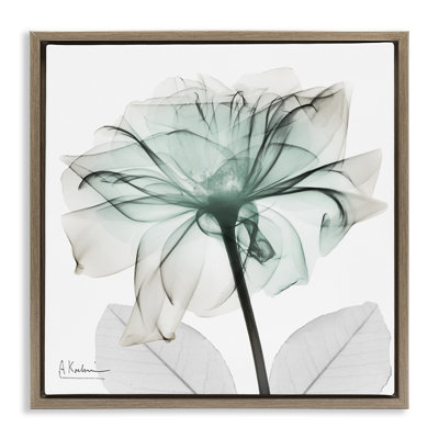 Cadre flottant unique à motif de pétales de fleurs, design par Albert Koetsier