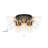 Tevye 3-Light Black & Gold 11'' Cluster Cylinder Semi Flush Mount Pull Switch Design with Seeded Glass
