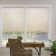 EcoHome 1.5 inch Cordless Semi-Sheer Light Filtering Cellular Shade