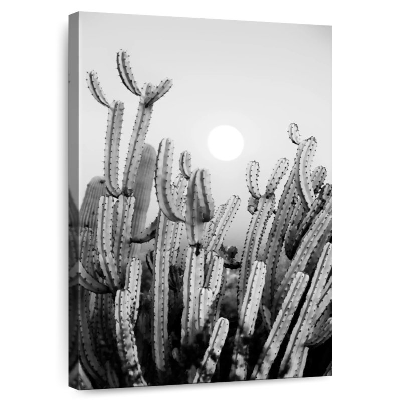 Harnek Black Arizona - Cactus Sunset, 24" H x 16" W