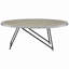Table basse en chêne et ovale