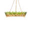 Selavy 11 - Light Chandelier
