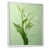 Cadre flottant blanc