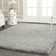 Assiya Shag Performance Solid Color Rug