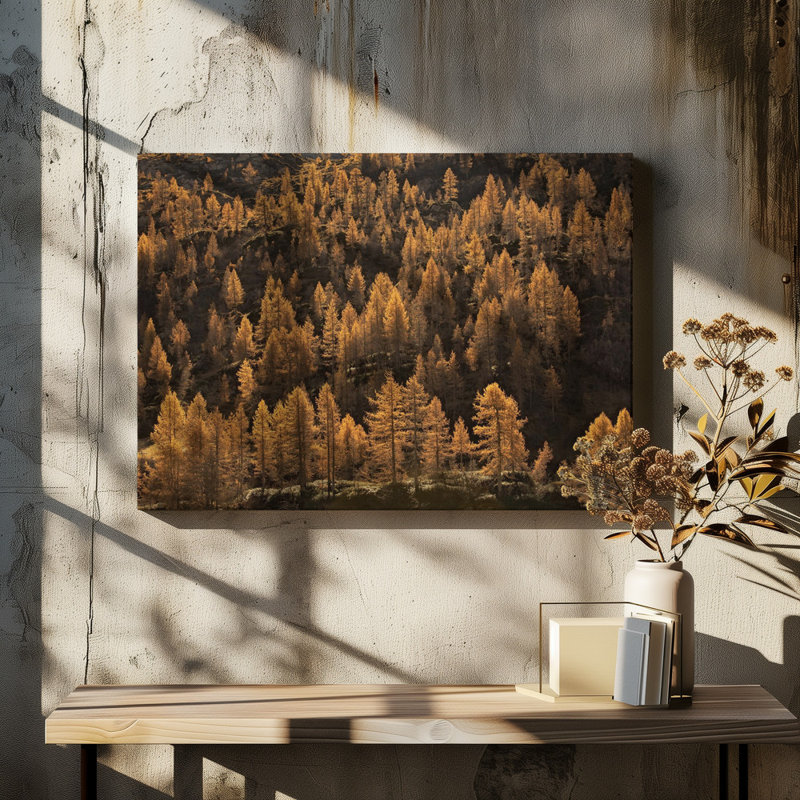 Wrapped Canvas Print, 50.8 cm H x 76.2 cm W
