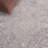 Calidia Oriental Beige/Cream Area Rug-1945000269