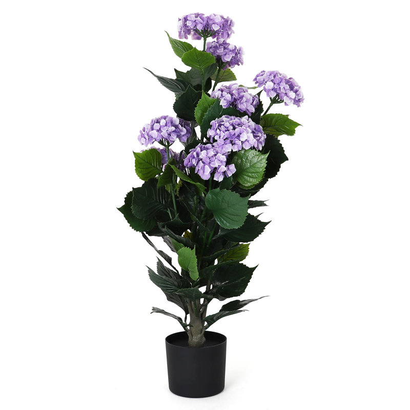 Hortensia en pot - petit, Mauve