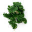 25 cm H Faux Plant-127680992