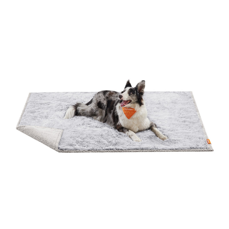 Couvertures pour chien, L 11,42 po x l 14,17 po