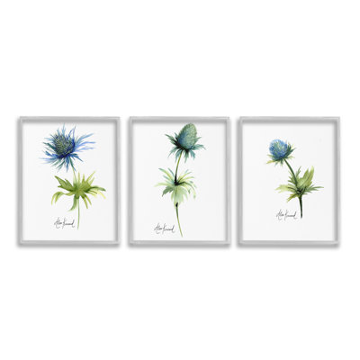 «Thistle Watercolors On White Single Frame» par Alexandria Gilbert Kincaid, 3 pièces sur toile
